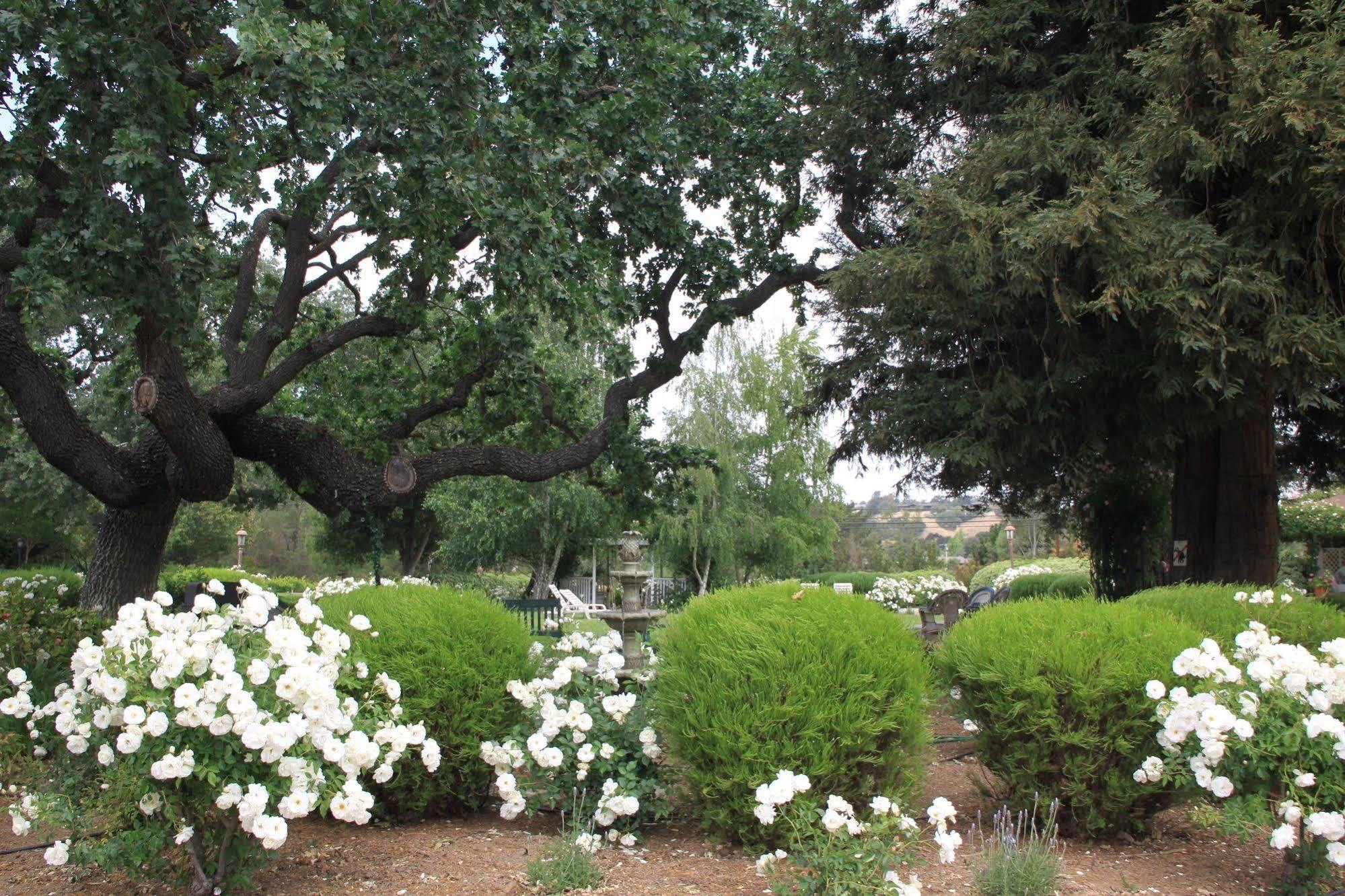 Meadowlark Inn Solvang Exterior photo